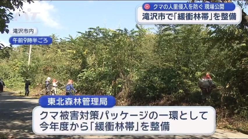 クマの人里侵入を防ぐ　滝沢市で「緩衝林帯」整備作業を公開【岩手・滝沢市】