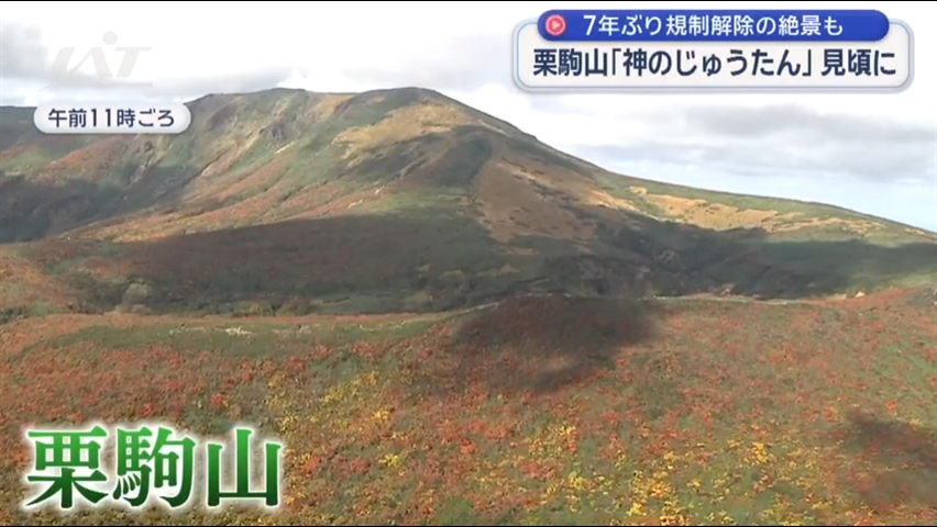 「神のじゅうたん」栗駒山　紅葉見ごろ【岩手ほか】