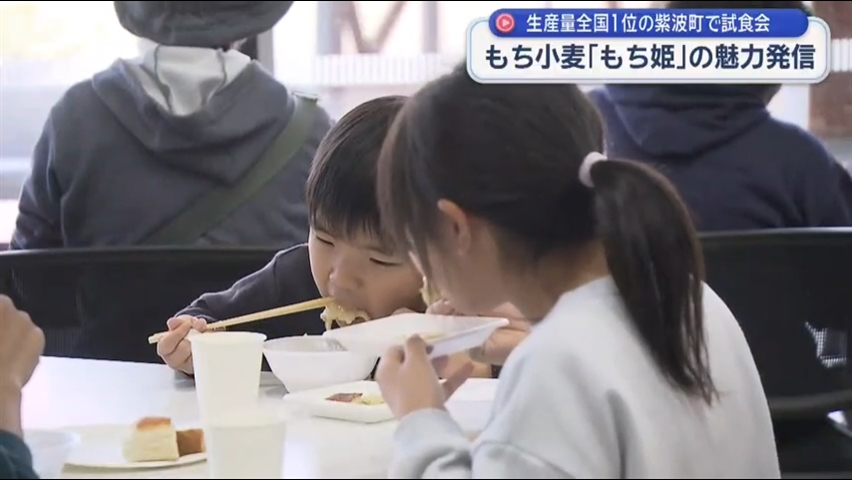 もち小麦「もち姫」の魅力発信【岩手・紫波町】