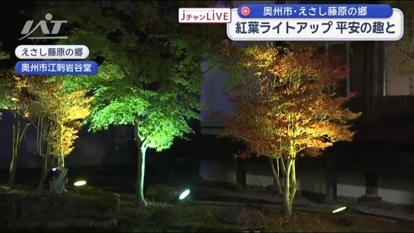 紅葉シーズン　歴史テーマパークでライトアップ【岩手・奥州市】