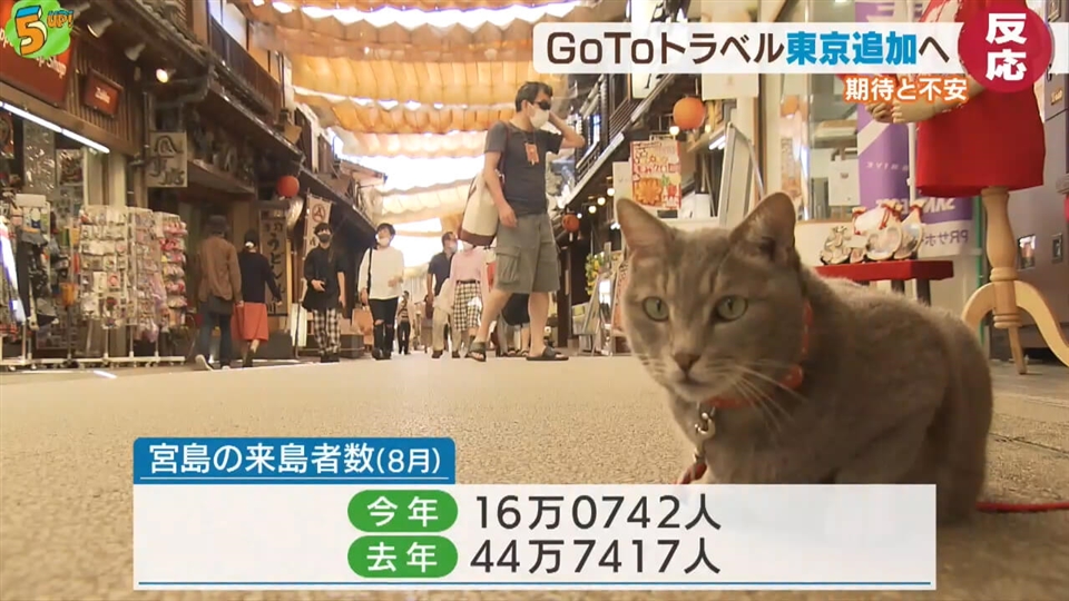 ｇｏｔｏトラベル東京追加に広島県内は ニュース 報道 広島ホームテレビ