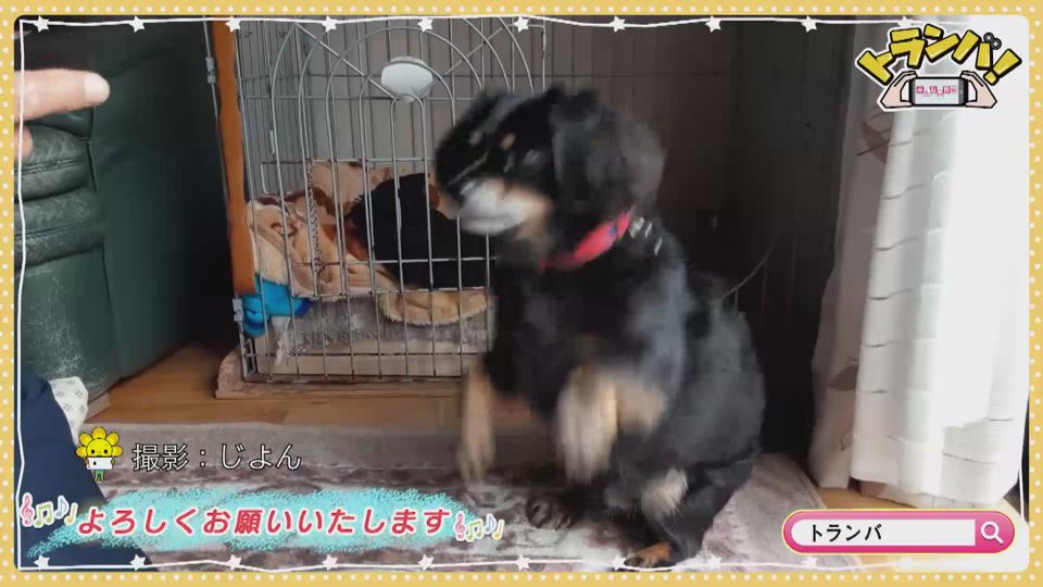 ミーナちゃん じよん いちじろ Saga Plus サガプラス