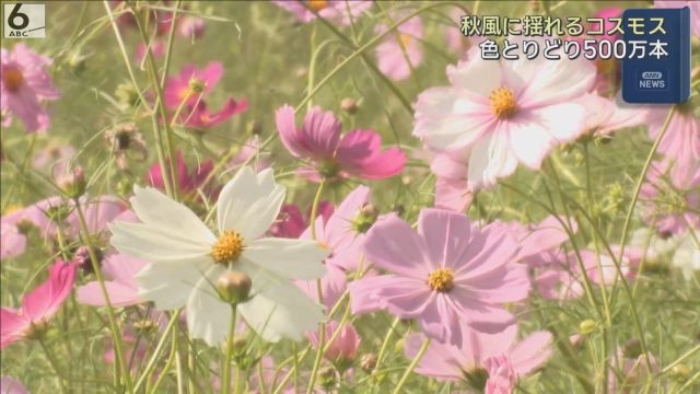 367aba0b19c14b669deee7c04f5ce9