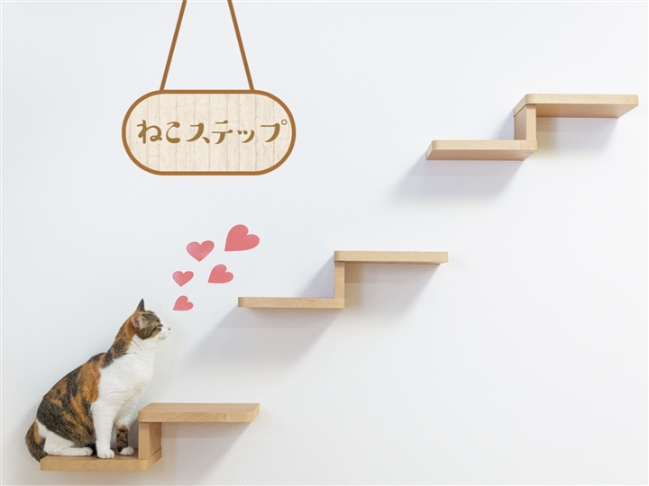 SALE／74%OFF】 住材マーケットねこルート ねこボックスセット 送料無料