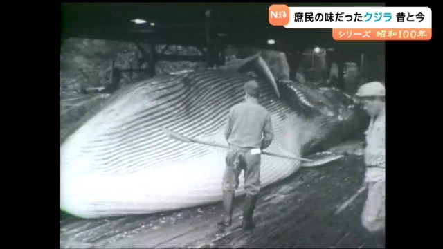 2025年最新】鯨歯 パイプの人気アイテム - メルカリ