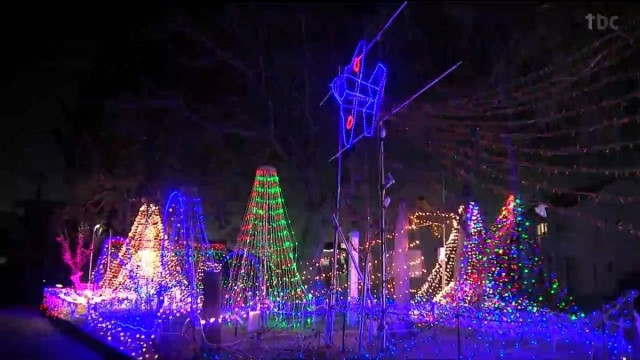 毎年とてもきれい」8万個LEDでイルミネーション“ブルーインパルス