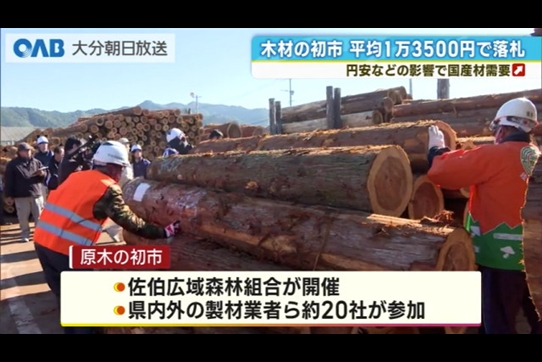 原木の初市 価格は去年並み 国産材需要が下支え 佐伯市（OAB大分朝日 