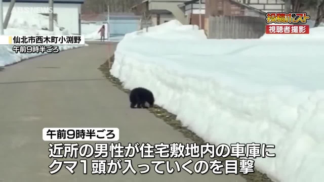 仙北市の住宅車庫にクマ1頭が侵入しその後捕獲 けが人なし（ABS秋田