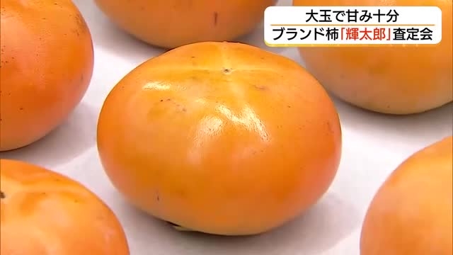 鳥取のブランド柿「輝太郎」の査定会 猛暑乗り越え「大玉で甘い