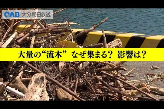 大分】なぜ台風で大量の流木が？(OAB大分朝日放送) - goo ニュース