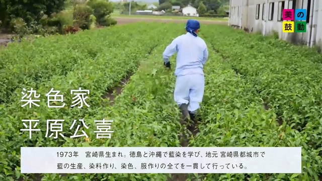 2016.10.30 放送 染織家 平原公喜  美の鼓動・九州  テレビ西日本