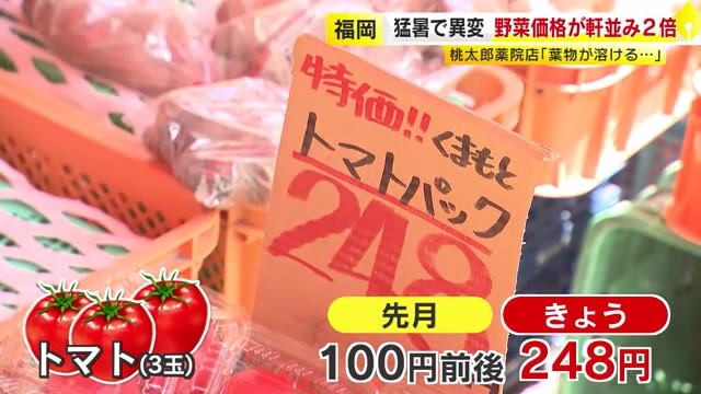 猛暑で野菜価格が“２倍”に　トマト３玉１００円前後→２４８円　「暑さで溶ける」　生育不良で収穫量減