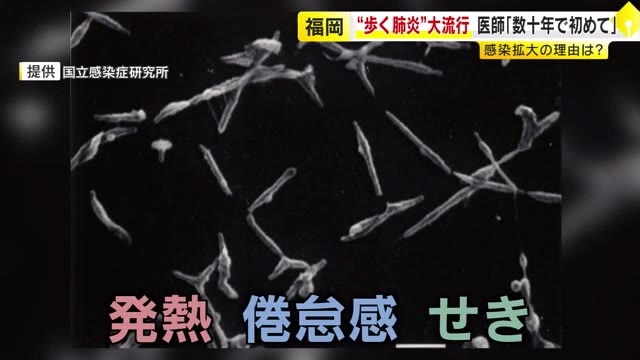 急増する“歩く肺炎”…マイコプラズマ肺炎が流行　医師「何十年やってきて初めて」いま感染拡大の理由　福岡県