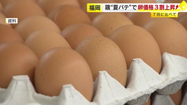 タマゴ使った「月見」商品で需要増も…卵の価格が上昇　7月に比べ3割高　ニワトリ「夏バテ」で生産量減　福岡