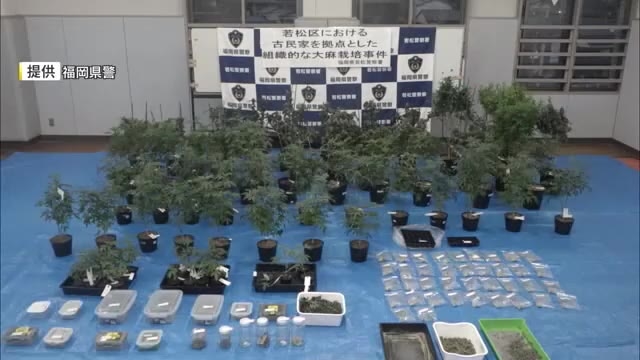 「大麻ハウス」で“栽培や購入”　28～43歳の男女10人を摘発　末端価格2155万円相当を押収　北九州市