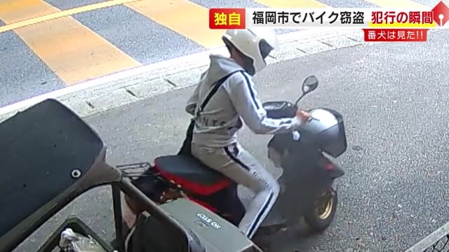 【独自】防犯カメラが捉えた“原付バイク窃盗”　番犬の前でバイクを押しながら逃走も…ガードレールに突っ込む　福岡市