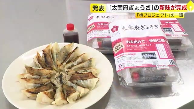 地元の梅をぎょうざに…餡に練りこみ「昆布だし」で味わい深く　農業高校生などが開発　福岡・太宰府市