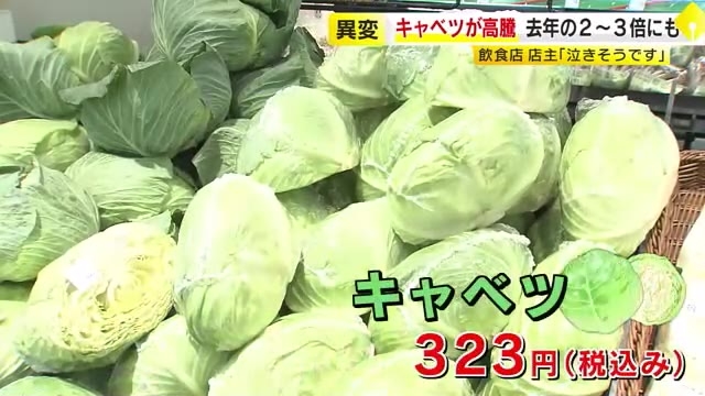 キャベツの価格が高騰　去年の約3倍に　もつ鍋にお好み焼き…冬の食卓や飲食店に打撃　スーパー「小分けにして少しでも安く」福岡