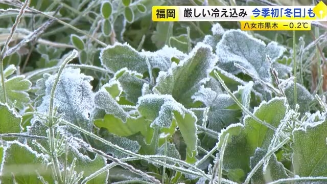 福岡で今季初の冬日…八女市黒木町の最低気温-0.2℃に　寒気や放射冷却で冷え込み強まる　日中も12月らしい寒さに