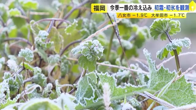 福岡県内で初霜と初氷　「寒くてしんどい」今季一番の冷え込み　八女市－1.9℃、大牟田市－1.7℃