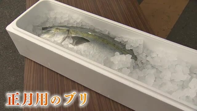 縁起の良い「正月用のブリ」受け取り　４～５キロの養殖物　１匹１万５千円程度で販売　福岡・宗像市