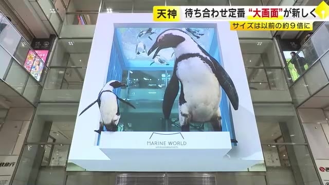 ペンギンも飛び出す！　福岡市・天神「大画面」サイズ9倍以上に　待ち合わせスポットがリニューアル