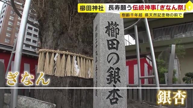 「おから」まいて健康と長寿願う　“博多の総鎮守”櫛田神社で伝統の「ぎなん祭」　ご神木のイチョウは樹齢1000年超　福岡