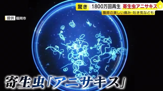 食中毒は「3月が最多」…主な原因はアニサキスなど寄生虫　世界初“電気ショック”で死滅させる装置が福岡に　魚の見た目も味もほぼ変わらず