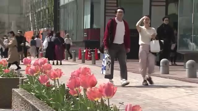 福岡でも春本番の暖かさ　福岡市などで２５℃近くまで気温上昇　高気圧やフェーン現象の影響　来週前半にかけ「夏日」の可能性も