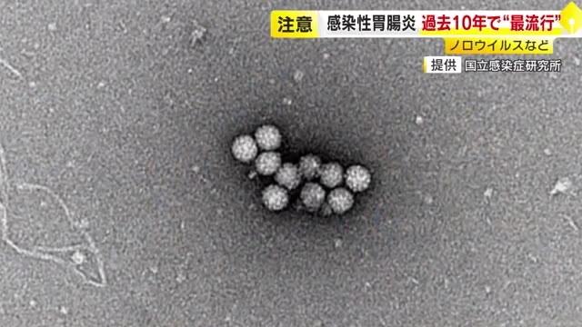 ノロウイルスなど感染性胃腸炎の感染者数　過去10年で最多　1医療機関あたり13.48人　福岡県