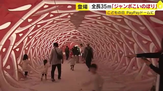 「こどもの日」に全長35m『ジャンボこいのぼり』　中をくぐり抜けることも　みずほPayPayドーム福岡