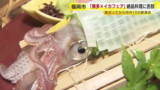 「もっと魚介類食べて」第1弾は旬のイカ　絶品料理が勢ぞろい「博多×イカフェア」6月1日から市内10の飲食店で　福岡