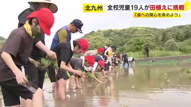 「棚田のオーナー」になって田植え体験　年間4万円で米や山菜受け取れる「1粒1粒の大事さ感じる」　小学生も田植え挑戦　福岡