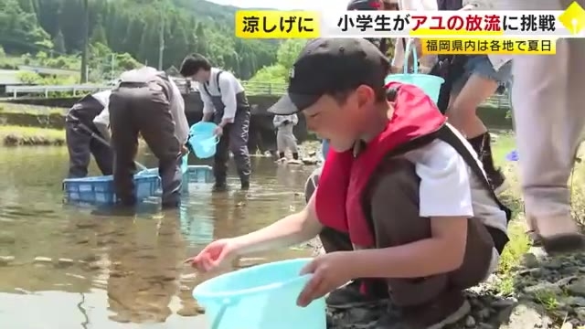 真夏日に迫る暑さの中…小学生がアユ放流に挑戦　約1500匹をバケツから放し元気に泳ぐ様子を見守る　福岡・朝倉市