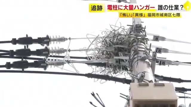 「怖い」「早く撤去してほしい」　住宅街の電柱の上に大量のハンガー　専門家「春になってパートナーを見つけて…」　作業員が撤去を試みるも…　福岡