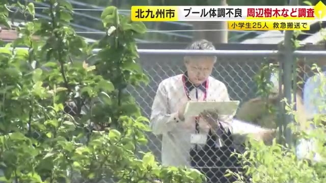 プール周辺の樹木など調査　水泳授業後に児童25人搬送　湿疹・しびれ・腹痛の原因究明へ　水質検査では「異常なし」　北九州市