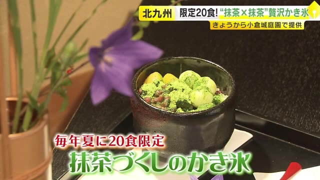 「抹茶飲んでいるような感じ」夏の限定20食“ひんやりグルメ”　たっぷり抹茶×抹茶の濃厚かき氷が人気　福岡・北九州市