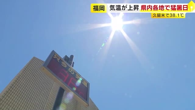 チンゲン菜の適温は25～32℃も…ハウス内は38℃超に　「野菜には厳しい温度」　久留米市38.1℃　福岡県内各地で猛暑続く