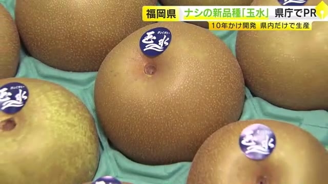 早く収穫できて甘い…福岡県産ナシの新品種「玉水」（ぎょくすい）をPR　県が10年かけて開発「ブランド力強化したい」
