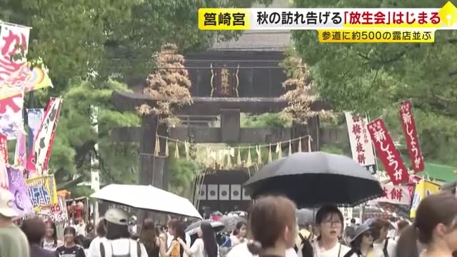 筥崎宮「放生会」始まる　福博の街に秋の訪れはいつ？　熱中症対策で初の『救護室』設置　9月18日まで開催　福岡
