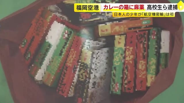 レトルトカレーの箱に隠し…大麻成分含む液体を“密輸”　大阪の高校生など少年2人逮捕　タイから航空機で福岡へ