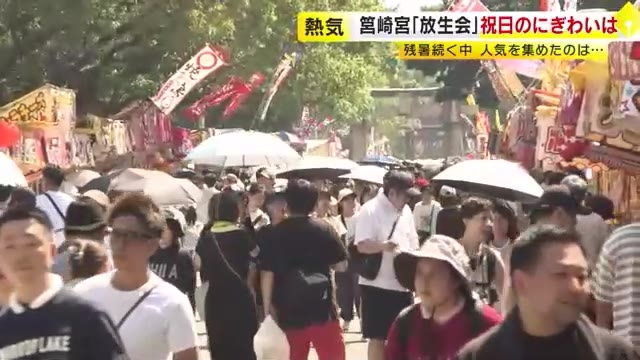 博多三大祭り・筥崎宮の「放生会」　3連休最終日もにぎわう　厳しい残暑で“ひんやりスイーツ”人気　9月18日まで　福岡市
