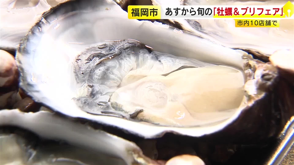 「博多×牡蠣&ブリフェア」 福岡市内10店舗で旬の海鮮グルメを提供 11月1日から12月末まで