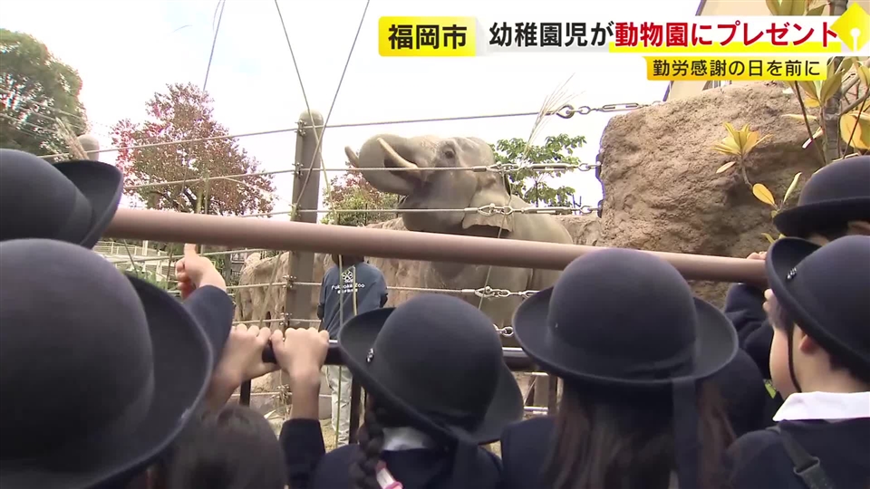 幼稚園児が動物園の飼育員にプレゼント　手作りの首飾りや園で育てたサツマイモなど　勤労感謝の日を前に　福岡市