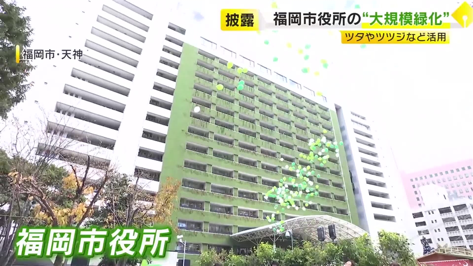 “緑いっぱい”の市役所をお披露目　ツタやツツジなど1000本を壁面やベランダに　12億円かけ地下鉄の駅なども緑化へ　福岡市