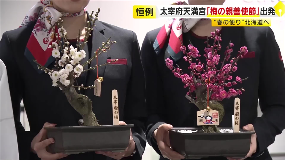 北海道に“春の便り”を　太宰府天満宮『梅の親善使節』が福岡を出発　「少しでも早い春を感じてもらえれば」