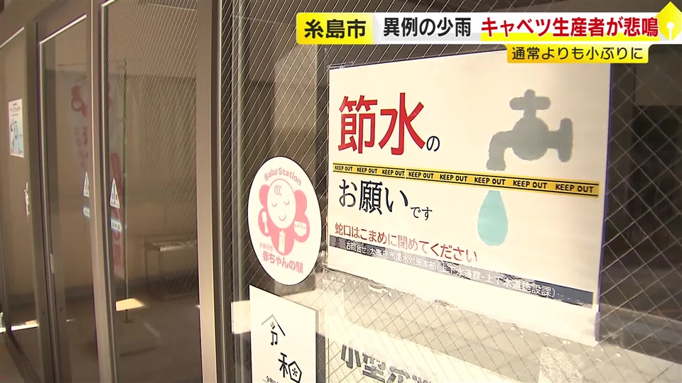 雨が少ない福岡県　“この100年で最少”の市も　キャベツは小ぶりに　うどん店は「水がないと営業できない」　野菜生産者も飲食店も悲鳴　県はこまめな節水を呼びかけ