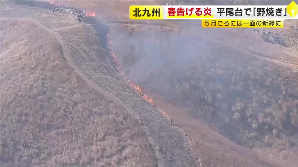 「春告げる炎」平尾台で野焼き　約340ヘクタール焼く　5月ごろには一面の新緑に　福岡