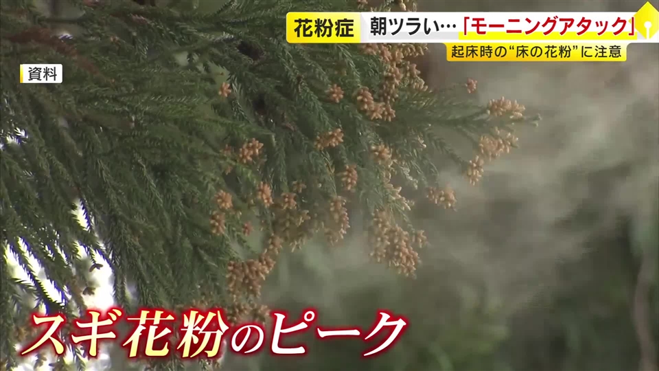 起床直後に花粉症の症状がつらい「モーニングアタック」　有効なのは空気清浄機より加湿器　重い症状には注射治療も　福岡