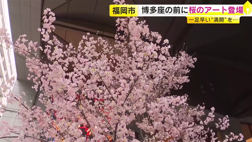 一足早く福岡で“満開”　博多座の前に「桜のアートフラワー」登場　本物の桜の木を使用　福岡市博多区